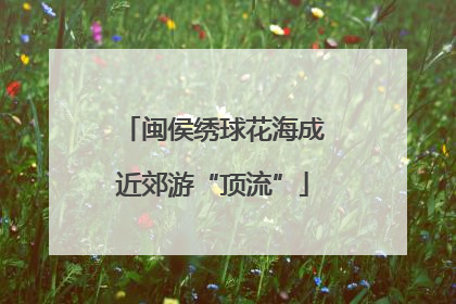闽侯绣球花海成近郊游“顶流”