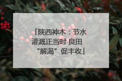 陕西神木：节水灌溉正当时 良田“解渴”促丰收