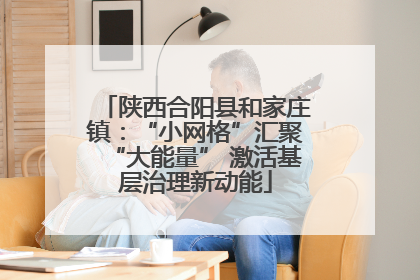 陕西合阳县和家庄镇：“小网格”汇聚“大能量” 激活基层治理新动能