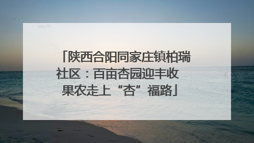 陕西合阳同家庄镇柏瑞社区：百亩杏园迎丰收 果农走上“杏”福路