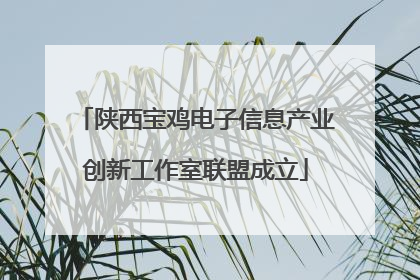 陕西宝鸡电子信息产业创新工作室联盟成立