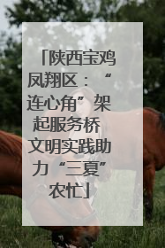 陕西宝鸡凤翔区：“连心角”架起服务桥 文明实践助力“三夏”农忙