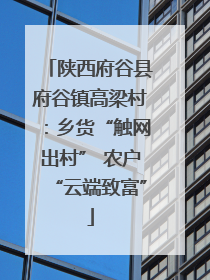 陕西府谷县府谷镇高梁村：乡货“触网出村” 农户“云端致富”