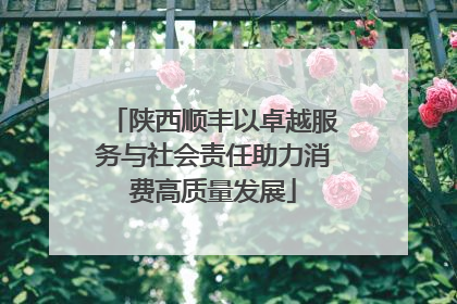 陕西顺丰以卓越服务与社会责任助力消费高质量发展
