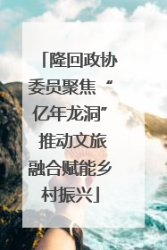 隆回政协委员聚焦“亿年龙洞” 推动文旅融合赋能乡村振兴