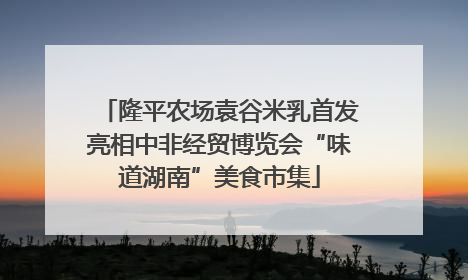 隆平农场袁谷米乳首发亮相中非经贸博览会“味道湖南”美食市集