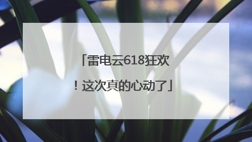 雷电云618狂欢！这次真的心动了