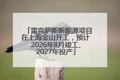 雷克萨斯新能源项目在上海金山开工，预计2026年8月竣工、2027年投产