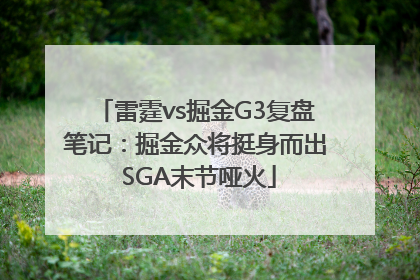 雷霆vs掘金G3复盘笔记：掘金众将挺身而出 SGA末节哑火