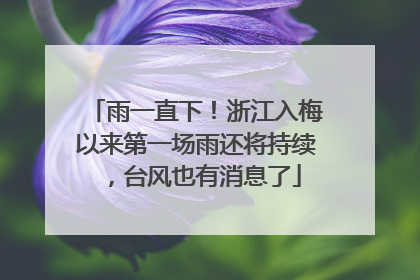 雨一直下！浙江入梅以来第一场雨还将持续，台风也有消息了