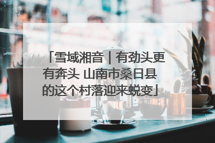 雪域湘音｜有劲头更有奔头 山南市桑日县的这个村落迎来蜕变