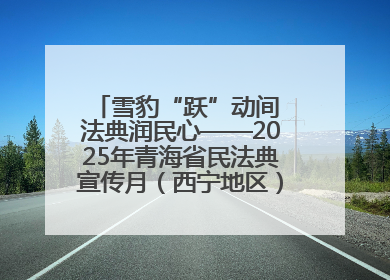 雪豹“跃”动间 法典润民心——2025年青海省民法典宣传月（西宁地区）主场活动见闻