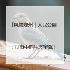 风物郑州｜人民公园：闹市中的生态宝藏