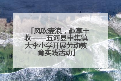 风吹麦浪，趣享丰收——五河县申集镇大李小学开展劳动教育实践活动