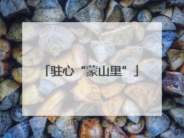 驻心“蒙山里”