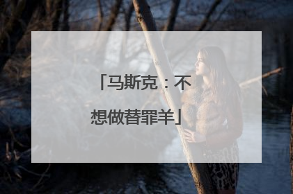 马斯克：不想做替罪羊