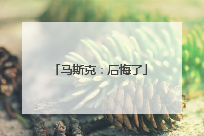 马斯克：后悔了