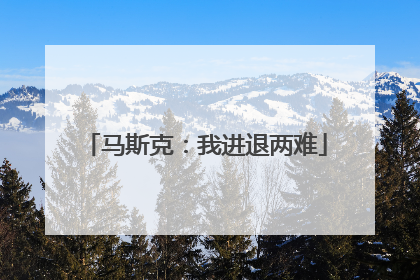 马斯克：我进退两难