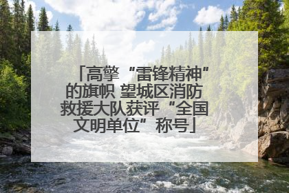 高擎“雷锋精神”的旗帜 望城区消防救援大队获评“全国文明单位”称号