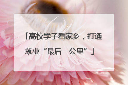 高校学子看家乡，打通就业“最后一公里”