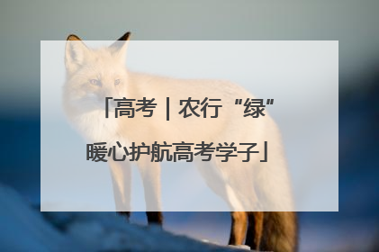 高考｜农行“绿”暖心护航高考学子