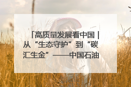 高质量发展看中国｜从“生态守护”到“碳汇生金”——中国石油大庆油田绿色蝶变