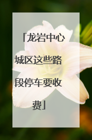 龙岩中心城区这些路段停车要收费