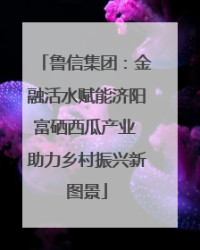 鲁信集团：金融活水赋能济阳富硒西瓜产业 助力乡村振兴新图景
