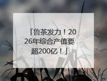 鲁茶发力！2026年综合产值要超200亿！