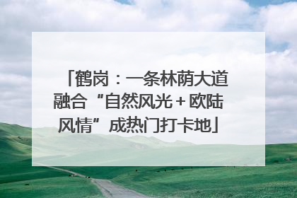 鹤岗：一条林荫大道融合“自然风光＋欧陆风情”成热门打卡地