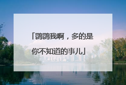 鹮鹮我啊，多的是你不知道的事儿