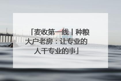 麦收第一线丨种粮大户老房：让专业的人干专业的事