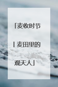 麦收时节丨麦田里的观天人