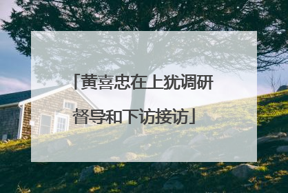 黄喜忠在上犹调研督导和下访接访
