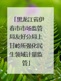 黑龙江省伊春市市场监管局友好分局上甘岭所强化民生领域计量监管