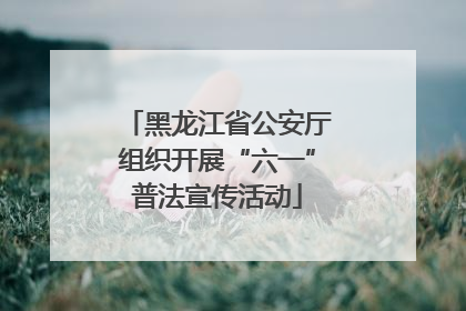 黑龙江省公安厅组织开展“六一”普法宣传活动