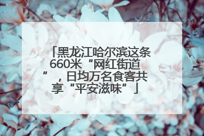 黑龙江哈尔滨这条660米“网红街道”，日均万名食客共享“平安滋味”