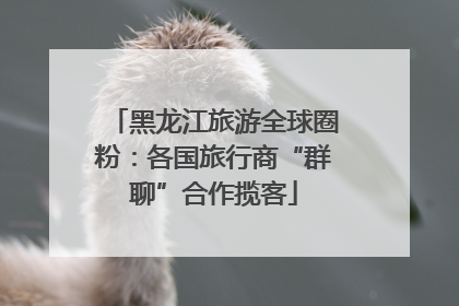 黑龙江旅游全球圈粉：各国旅行商“群聊”合作揽客