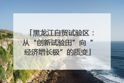 黑龙江自贸试验区：从“创新试验田”向“经济增长极”的质变