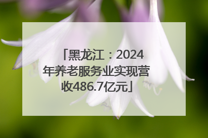 黑龙江：2024年养老服务业实现营收486.7亿元
