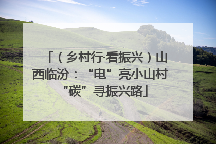 （乡村行·看振兴）山西临汾：“电”亮小山村 “碳”寻振兴路
