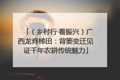 （乡村行·看振兴）广西龙脊梯田：背篓变迁见证千年农耕传统魅力