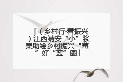 （乡村行·看振兴）江西靖安“小”浆果助绘乡村振兴“莓”好“蓝”图