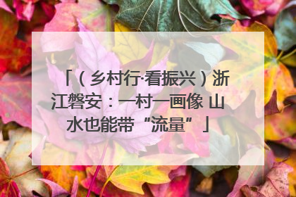 （乡村行·看振兴）浙江磐安：一村一画像 山水也能带“流量”