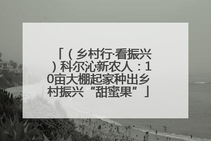 （乡村行·看振兴）科尔沁新农人：10亩大棚起家种出乡村振兴“甜蜜果”