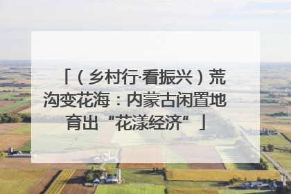 （乡村行·看振兴）荒沟变花海：内蒙古闲置地育出“花漾经济”