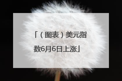 （图表）美元指数6月6日上涨