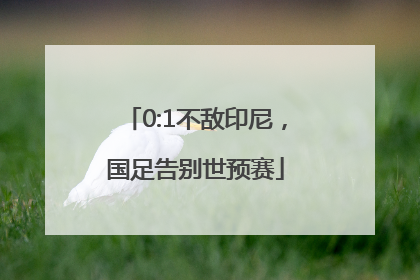 0:1不敌印尼，国足告别世预赛