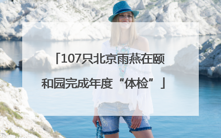 107只北京雨燕在颐和园完成年度“体检”
