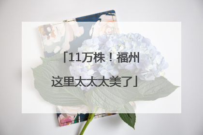 11万株！福州这里太太太美了